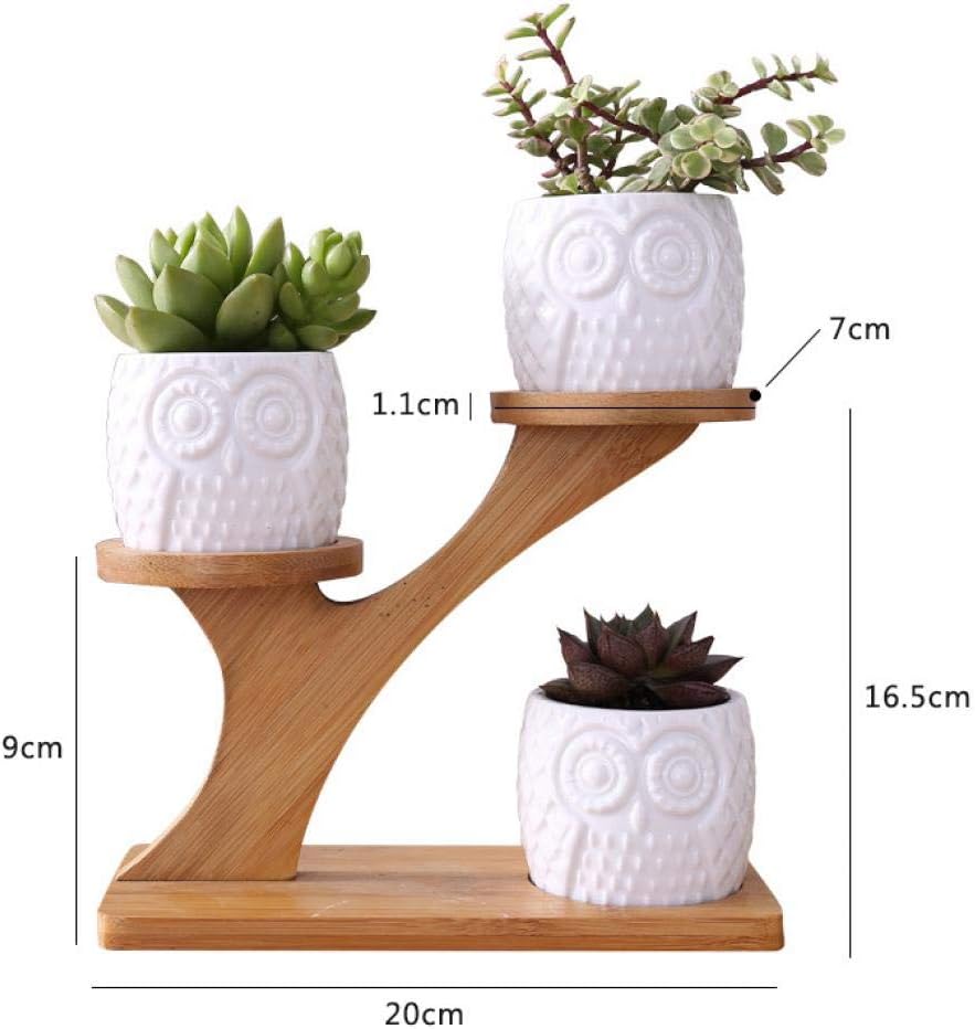 Cache-Pot Chouette en Céramique Blanche – Support Bambou pour Succulentes