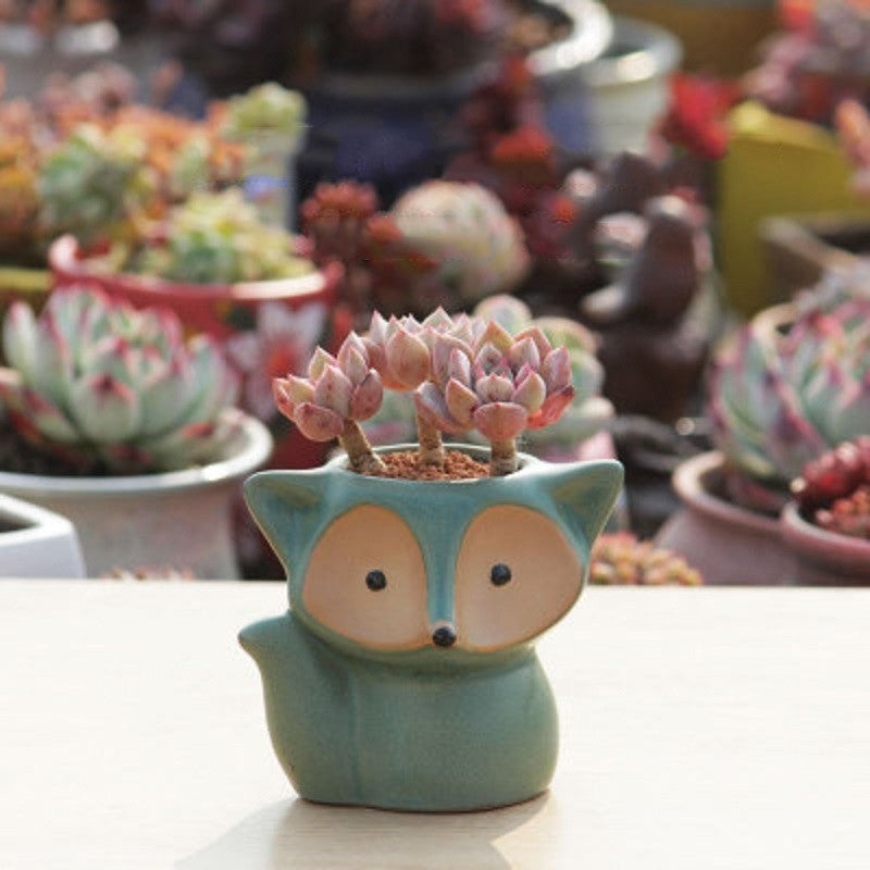 66acbb9061782f459880020f6e1edb3