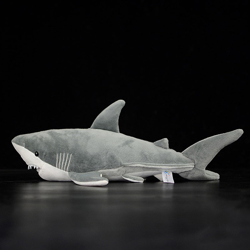 e89a55622e692aee47ce859494129459