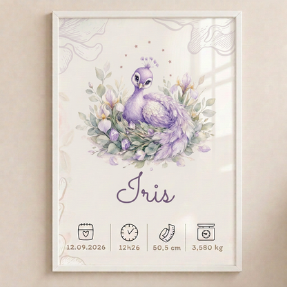 Iris dans le cadre blanc sur fond beige